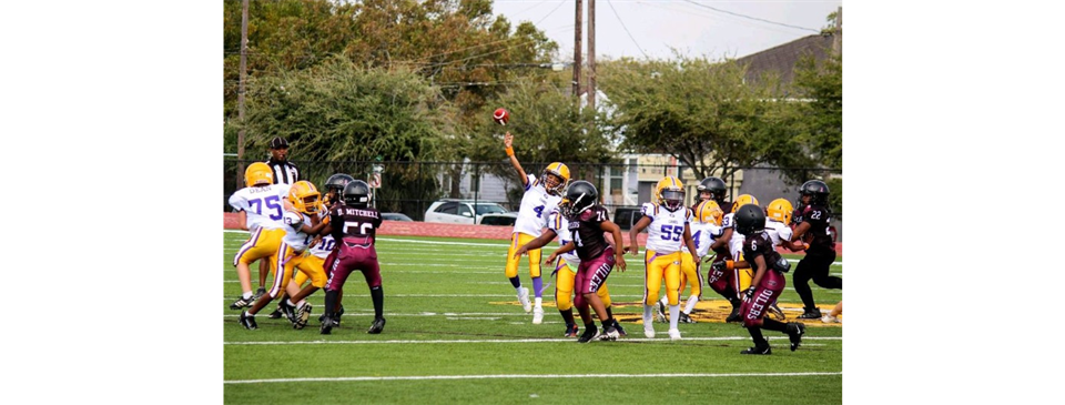 Galveston Hurricanes
